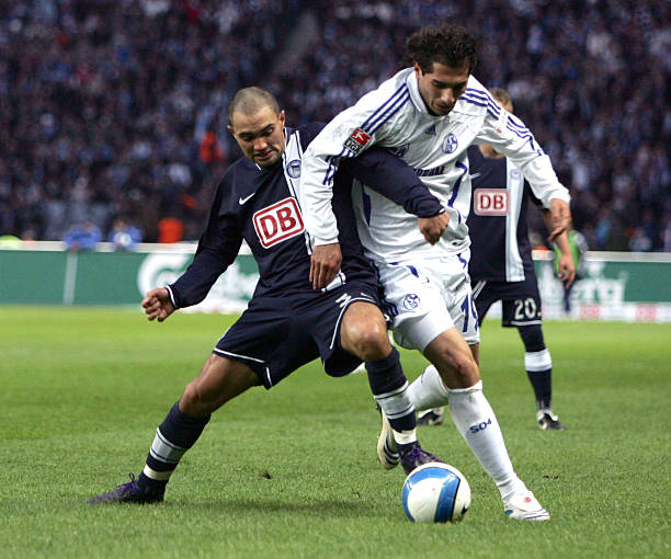 市场上提供 市场上提供